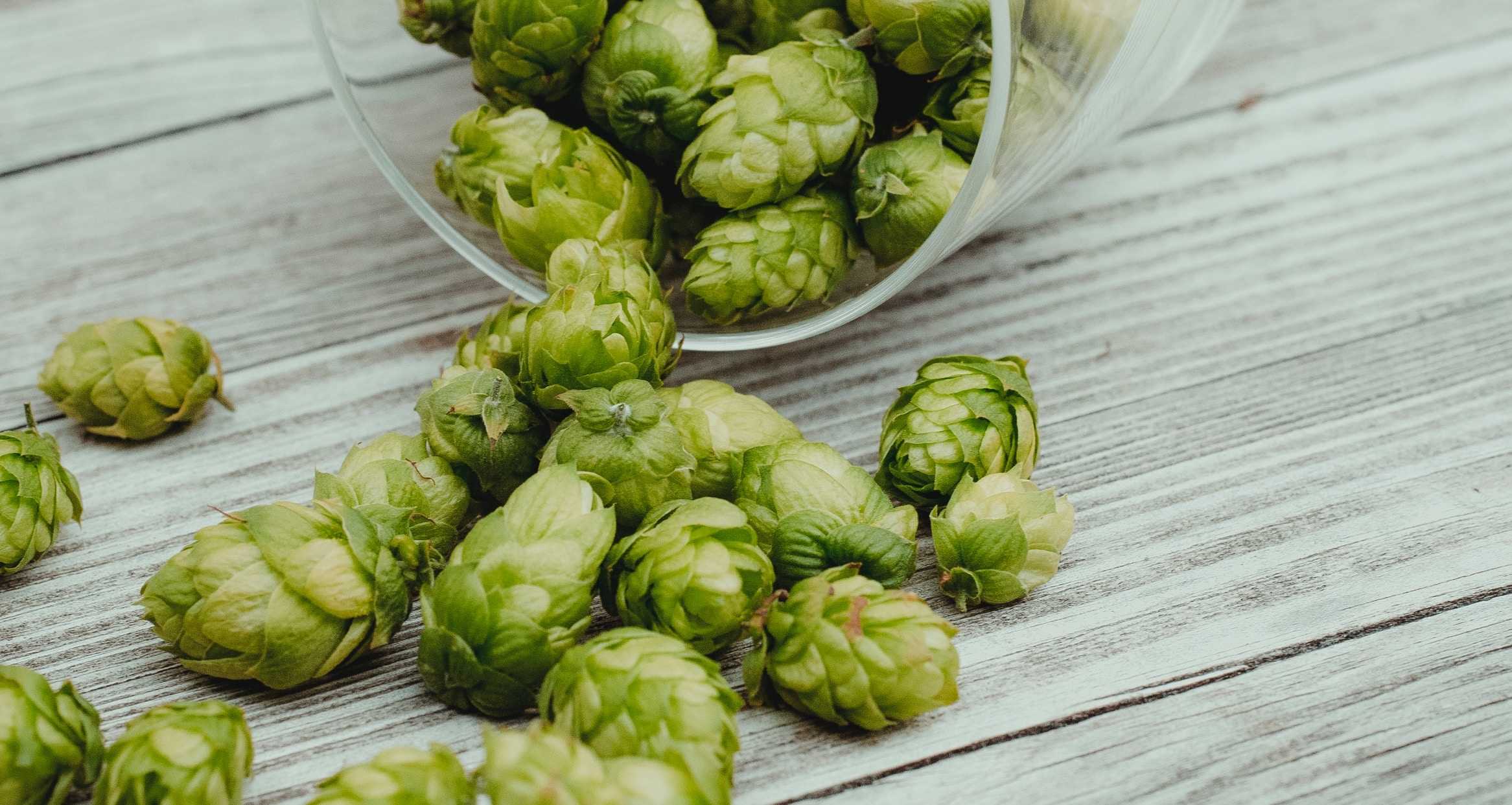 Unraveling Homebrew Dependencies: A Handy Guide